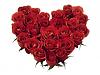 اضغط على الصورة لعرض أكبر. 

الإسم:	Red Roses Heart-839609.jpg 
مشاهدات:	649 
الحجم:	16.7 كيلوبايت 
الهوية:	173