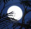 اضغط على الصورة لعرض أكبر. 

الإسم:	A735A39E-F50E-4F77-B67C-D5FF9D690E6A.jpg 
مشاهدات:	3401 
الحجم:	11.2 كيلوبايت 
الهوية:	6661