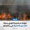 اضغط على الصورة لعرض أكبر. 

الإسم:	FB_IMG_17201230407377568.jpg 
مشاهدات:	692 
الحجم:	48.9 كيلوبايت 
الهوية:	8502