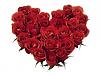 اضغط على الصورة لعرض أكبر. 

الإسم:	Red Roses Heart-839609.jpg 
مشاهدات:	330 
الحجم:	16.7 كيلوبايت 
الهوية:	173
