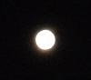 اضغط على الصورة لعرض أكبر. 

الإسم:	Moon31-08-2012b.JPG 
مشاهدات:	260 
الحجم:	70.0 كيلوبايت 
الهوية:	637