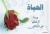 الصورة الرمزية نصر الله